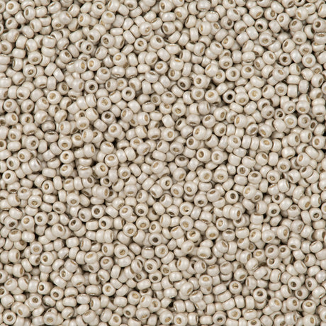 Czech Seed Bead 11/0 Matte Metallic Silver 50g (18503M)