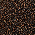 50g Miyuki Round Seed Bead 11/0 Root Beer Silver Lined (29)