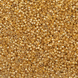 Miyuki Delica Seed Bead 11/0 24kt Light Gold Plated 2-inch Tube DB34