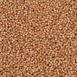 Miyuki Delica Seed Bead 11/0 Semi Matte Galvanized Champagne 2-inch Tube DB1152