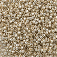 25g Miyuki Delica Seed Bead 11/0 Duracoat Galvanized Silver DB1831