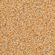 25g Miyuki Delica Seed Bead 11/0 Opaque Luster Butter Rum AB DB1571