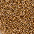 25g Miyuki Delica Seed Bead 11/0 Luminous Almond DB2043