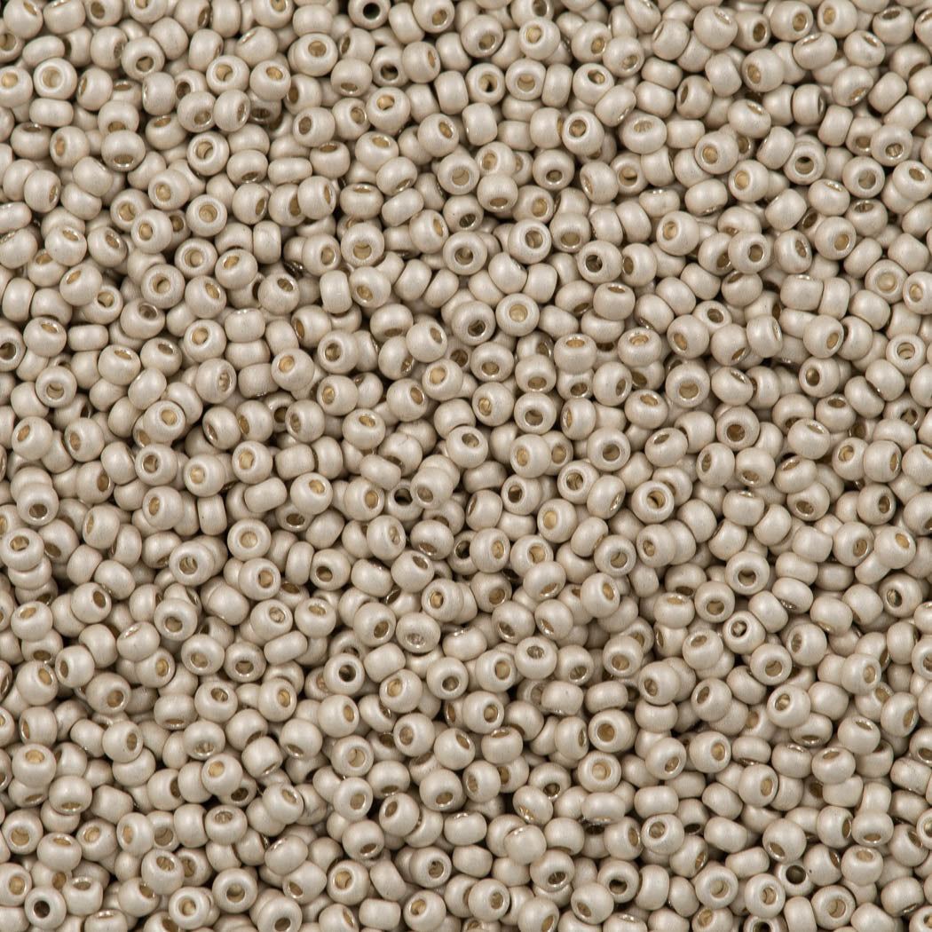 50g Czech Seed Bead 10/0 Matte Metallic Silver (18503M)