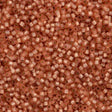 Miyuki Delica Seed Bead 10/0 Silver Lined Dyed Dark Peach 7g Tube DBM622