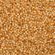 Miyuki Delica Seed Bead 10/0 Silver Lined Butterscotch 7g Tube DBM621