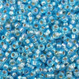 Miyuki Round Seed Bead 11/0 Silver Lined Aqua AB 22g Tube (1018)