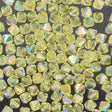 144 Preciosa Czech Crystal 3mm MC Bicone Bead Jonquil AB (80100AB)