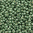 Miyuki Round Seed Bead 8/0 Duracoat Galvanized Sea Green 22g Tube (4215)