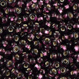 Czech Seed Bead 6/0 Silver Lined Dark Amethyst 50g (27080)