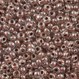 Miyuki Round Seed Bead 8/0 Inside Color Lined Mocha 22g Tube (224)