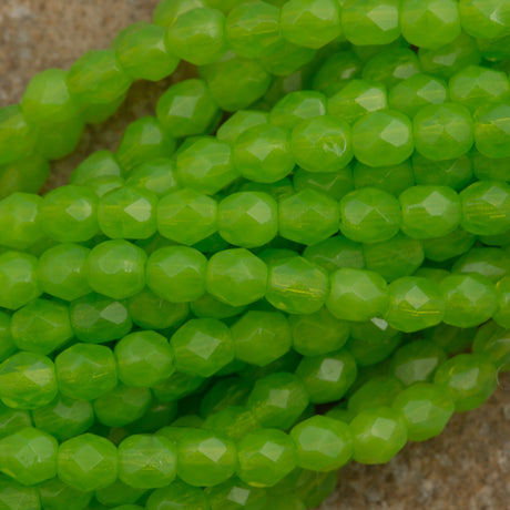 100 Czech Fire Polished 4mm Round Bead Milky Dark Peridot (51010)