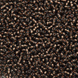 50g Czech Seed Bead 10/0 Copper Lined Black Diamond (49010)