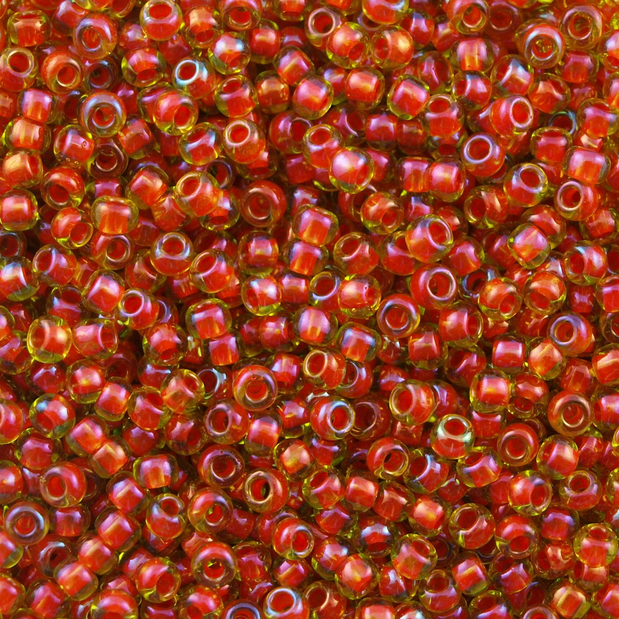 Toho Round Seed Bead 8/0 Inside Color Lined Pumpkin Lime 2.5-inch tube (303)