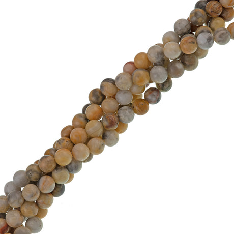 Crazy Lace Agate 6mm round beads 16 inch strand