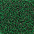 50g Czech Seed Bead 10/0 Silver Lined Dark Green (57150)