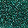 50g Czech Seed Bead 10/0 Silver Lined Emerald (57710)