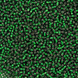 Czech Seed Bead 10/0 Silver Lined Green (57060)