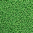 Czech Seed Bead 10/0 Dyed Shiny Green (23530)