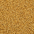 Czech Seed Bead 11/0 Metallic Gold (18581)