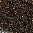 Preciosa Czech Seed Bead 8/0 Copper Lined Black Diamond (49010)