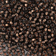 Preciosa Seed Bead 8/0 Black Diamond Copper Lined (49010)