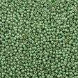 50g Toho Round Seed Bead 6/0 PermaFinish Galvanized Sea Foam (560PF)