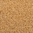 25g Miyuki Delica Seed Bead 11/0 Opaque Light Butter Rum DB1131