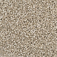 25g Miyuki Delica Seed Bead 11/0 Semi-Matte Galvanized Silver DB1151