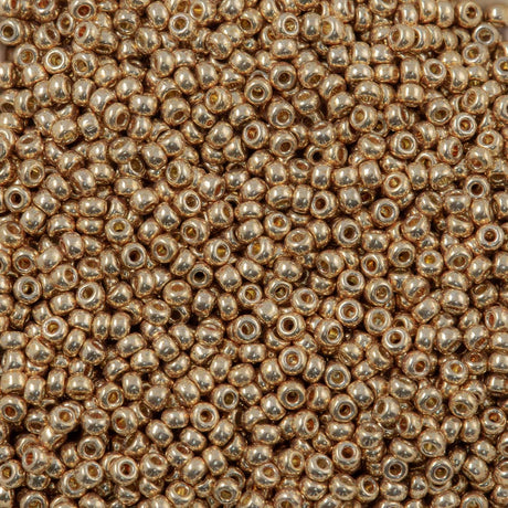 50g Miyuki Round Seed Bead 11/0 Duracoat Galvanized Champagne (4204)