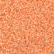 25g Miyuki Delica Seed Bead 11/0 Inside Dyed Color Peach DB67