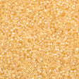 25g Miyuki Delica Seed Bead 11/0 Crystal Glazed Luster Champagne DB1478