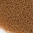 Miyuki Round Seed Bead 8/0 Spice Translucent 22g Tube (2372)