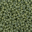 Miyuki Round Seed Bead 8/0 Duracoat Dyed Opaque Fennel (4473)