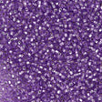 Czech Seed Bead 6/0 Silver Lined Solgel Amethyst 50g (78123)