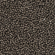 Czech Seed Bead 8/0 Metallic Chrome 22g Tube (18549)