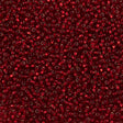 Czech Seed Bead 8/0 Ruby Silver Lined 22g Tube (97090)